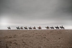 Island Westfjorde – Nord Adventure Reisen