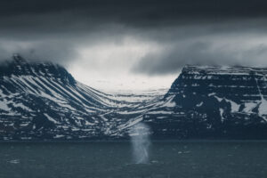 Island Westfjorde – Nord Adventure Reisen